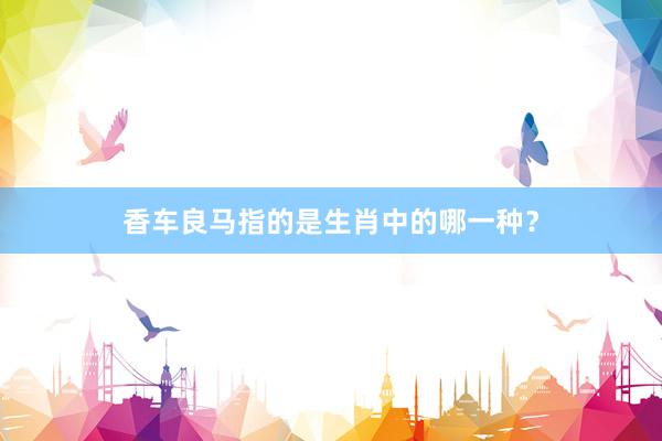 香车良马指的是生肖中的哪一种？