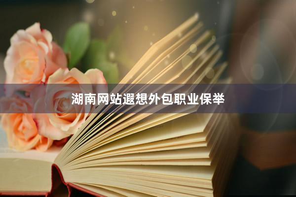 湖南网站遐想外包职业保举